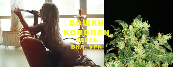 гашик Ладушкин