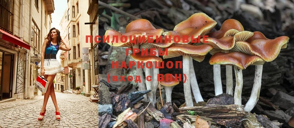 таблы Лабытнанги