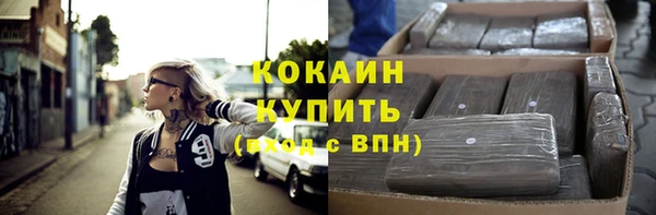 гашик Ладушкин