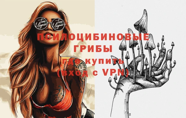 гашик Ладушкин