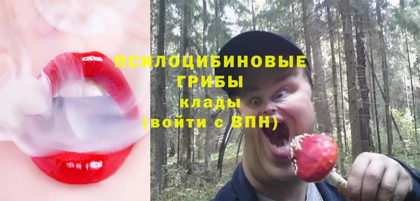 гашик Ладушкин
