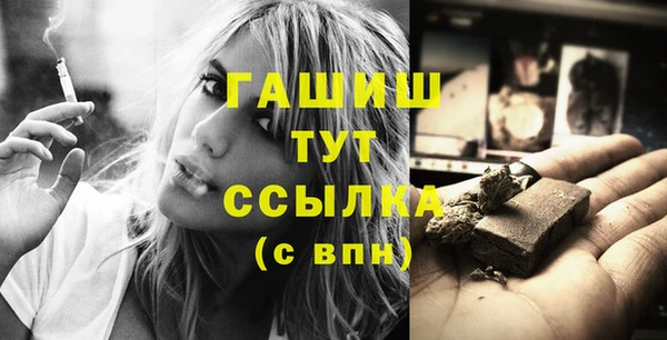 гашик Ладушкин
