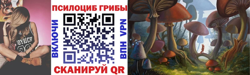 Галлюциногенные грибы мицелий  Купить закладки  Асбест 
